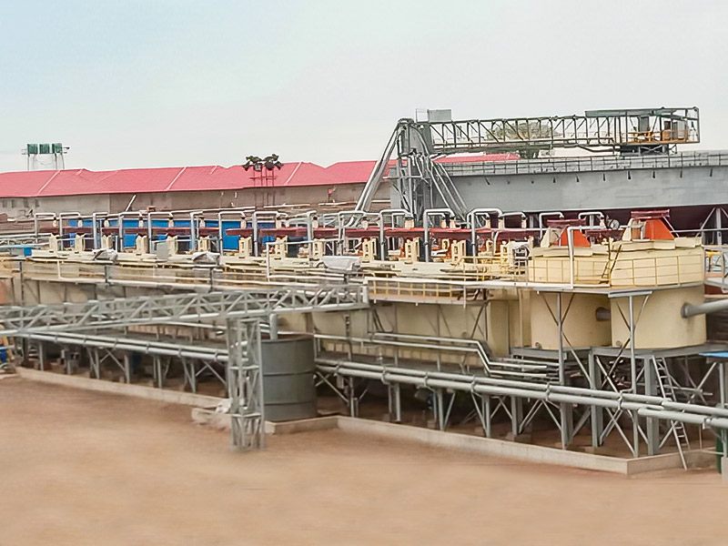 Zimbabwe Lepidolite 3000T/D Mineral Processing Project - Zhejiang Dingssen Holding Co., Ltd.